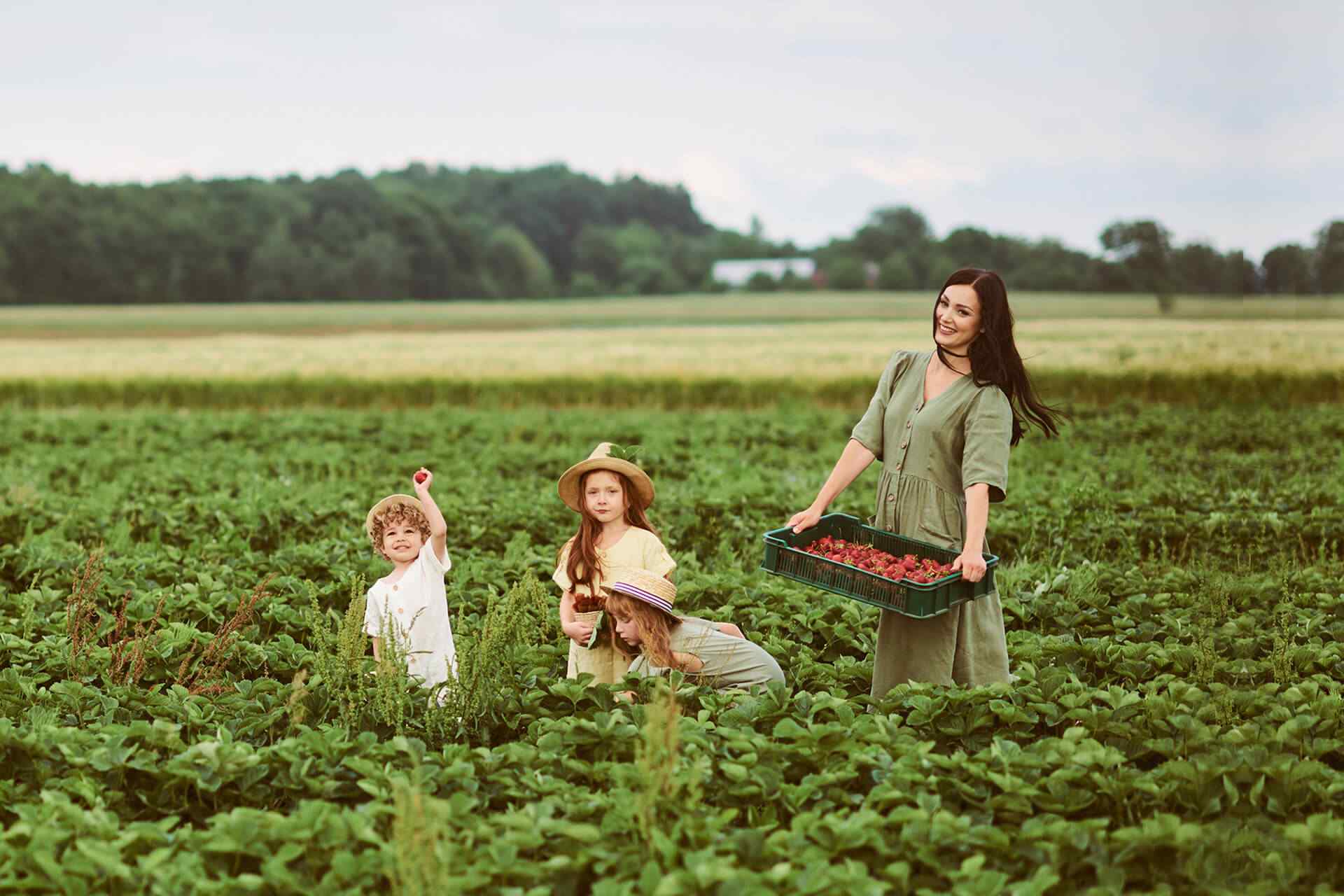 portfolio_05 portfolio_05