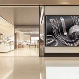Jewelry store security systems